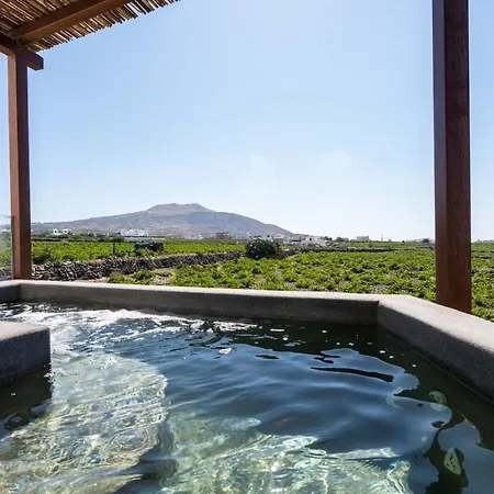 New Katerina Collection Daire *